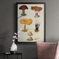 Mushroom Species VII - Modern Framed Canvas Print