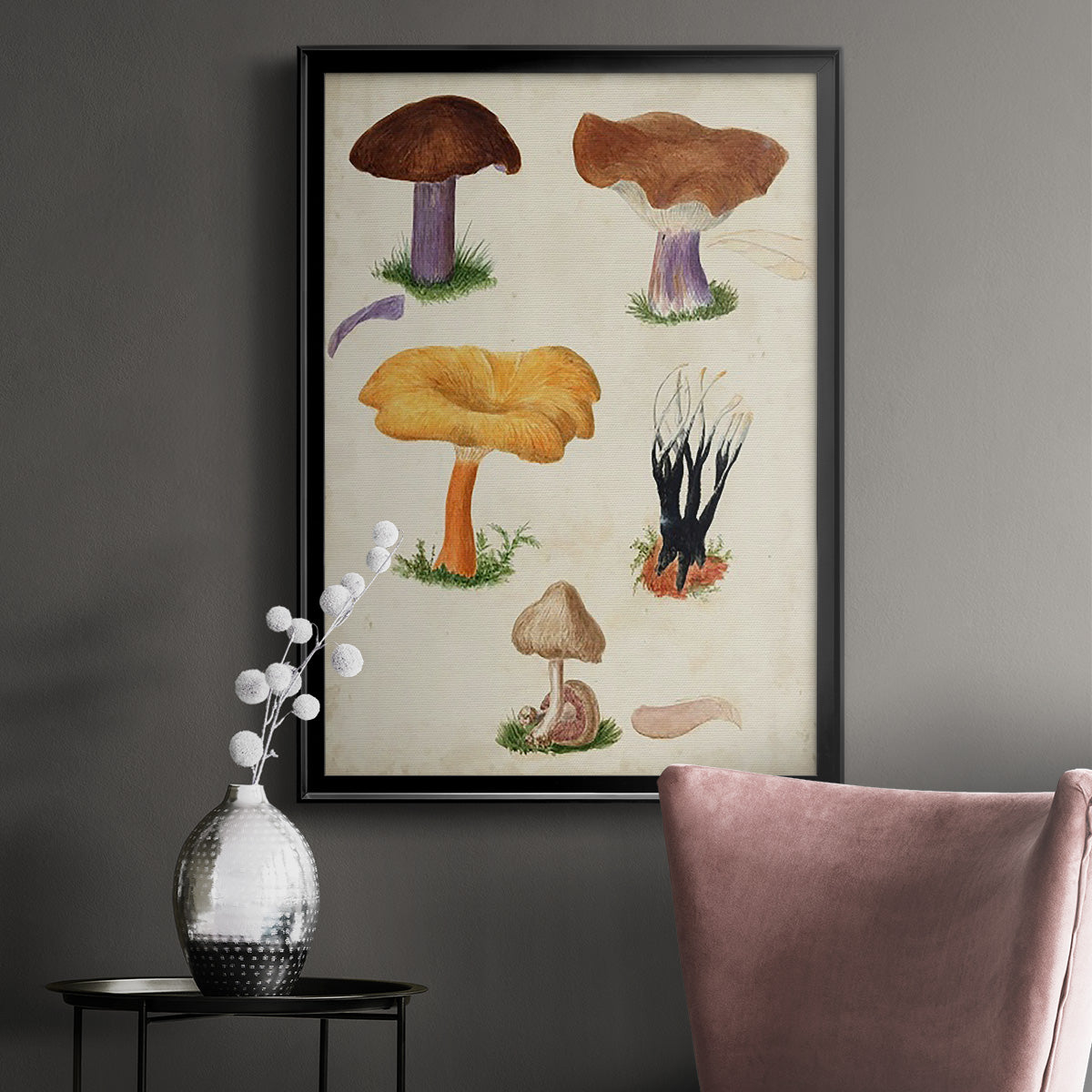 Mushroom Species VII - Modern Framed Canvas Print