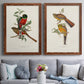 Elegant Trogons I - Premium Framed Canvas 2 Piece Set - Ready to Hang