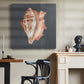 Shell on Slate IX - Canvas Art Print