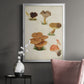 Mushroom Species V - Modern Framed Canvas Print