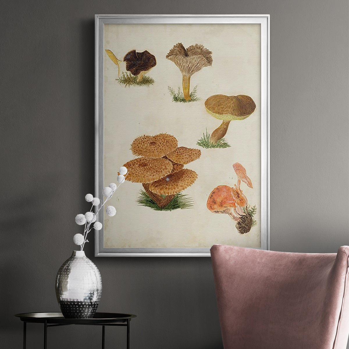 Mushroom Species V - Modern Framed Canvas Print