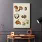 Mushroom Species I - Canvas Art Print