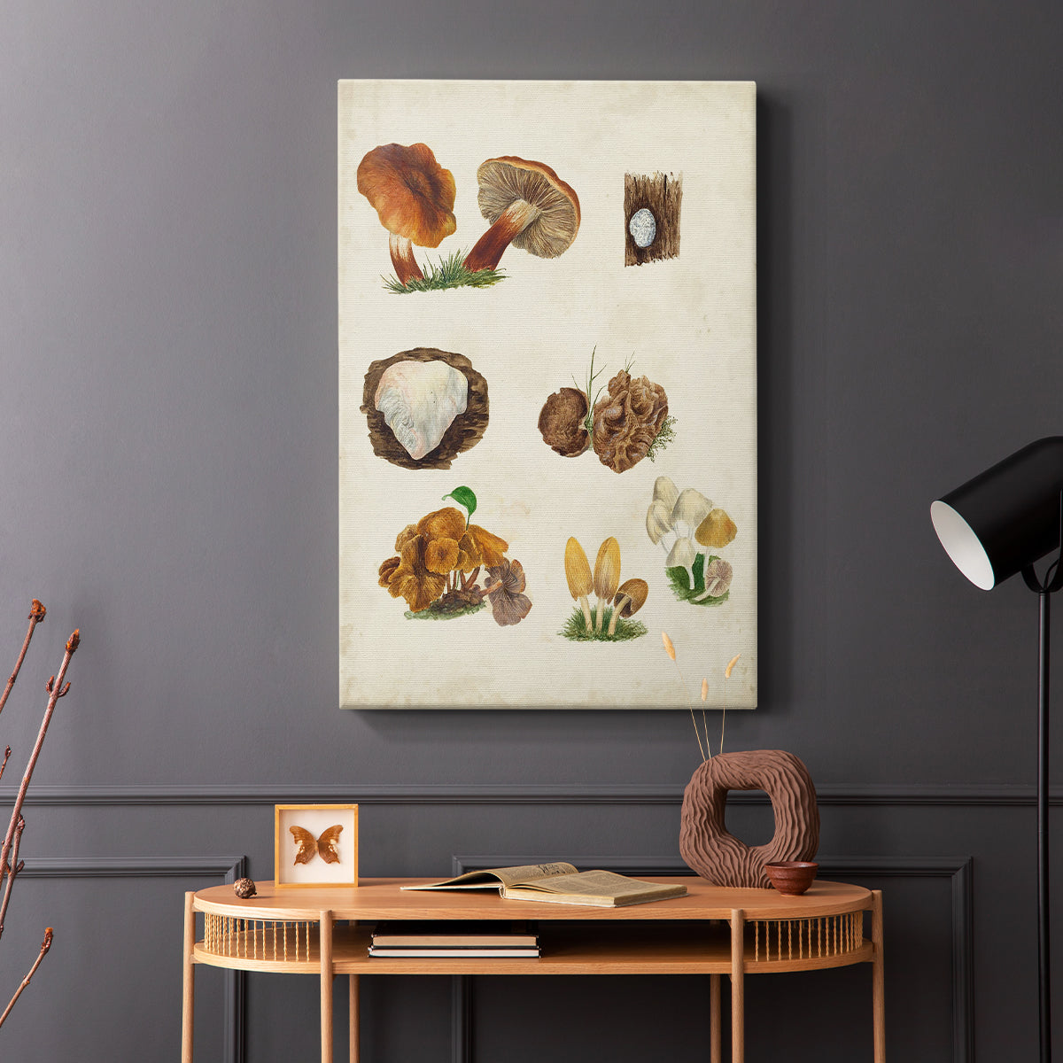 Mushroom Species I - Canvas Art Print