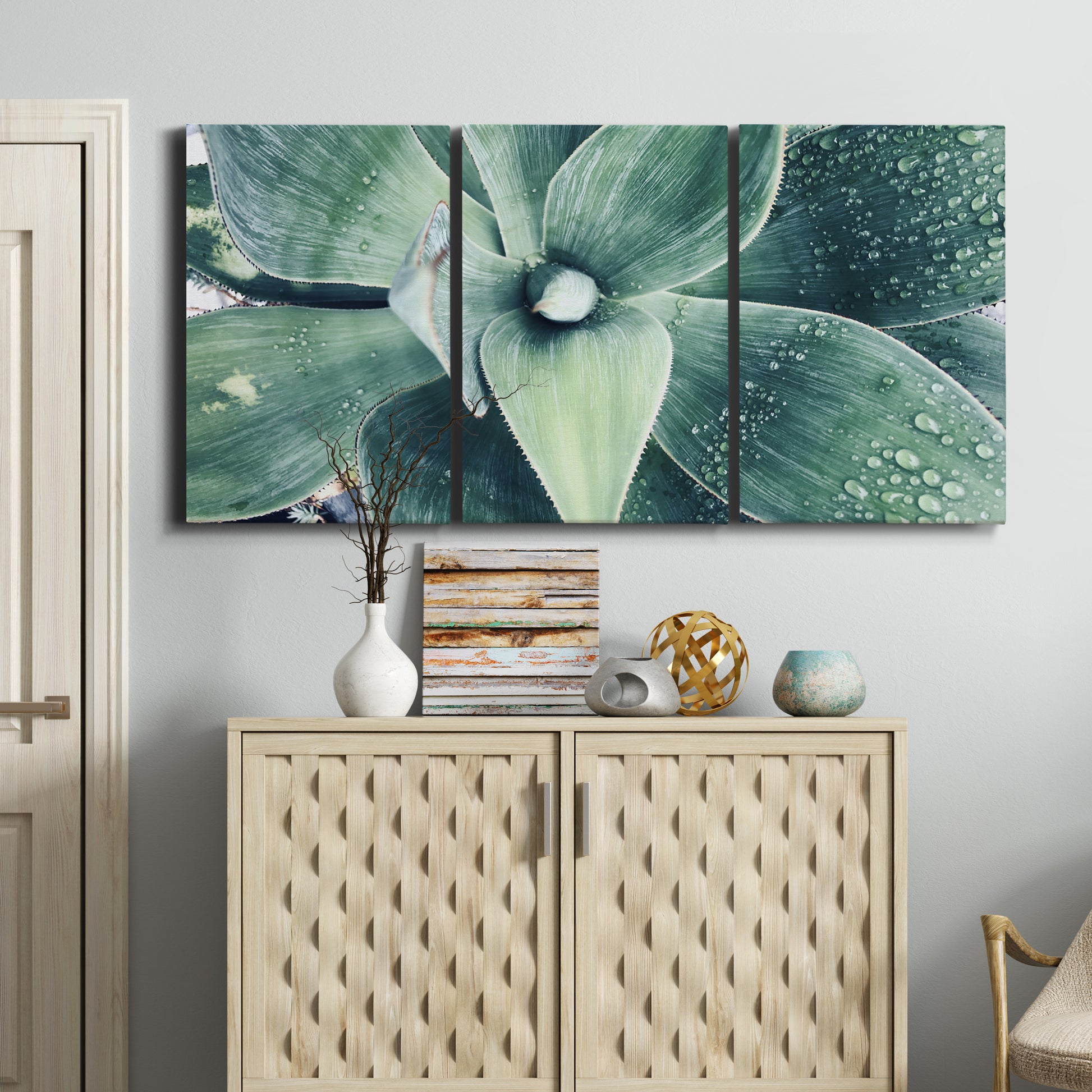 Three-panel canvas wall art featuring green succulent plant photograph, displayed above a cabinet in an entryway.