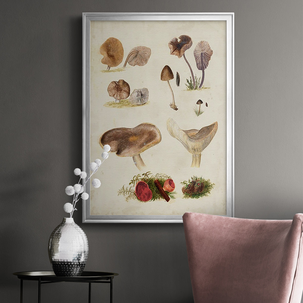 Mushroom Species III - Modern Framed Canvas Print