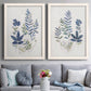 Fern Study I   - Premium Framed Canvas 2 Piece Set - Ready to Hang