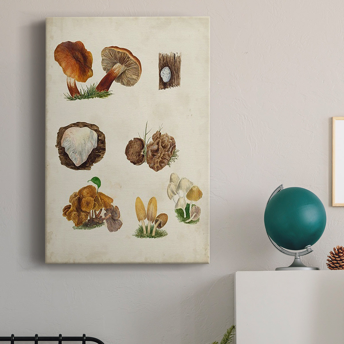 Mushroom Species I Premium Gallery Wrapped Canvas - Ready to Hang