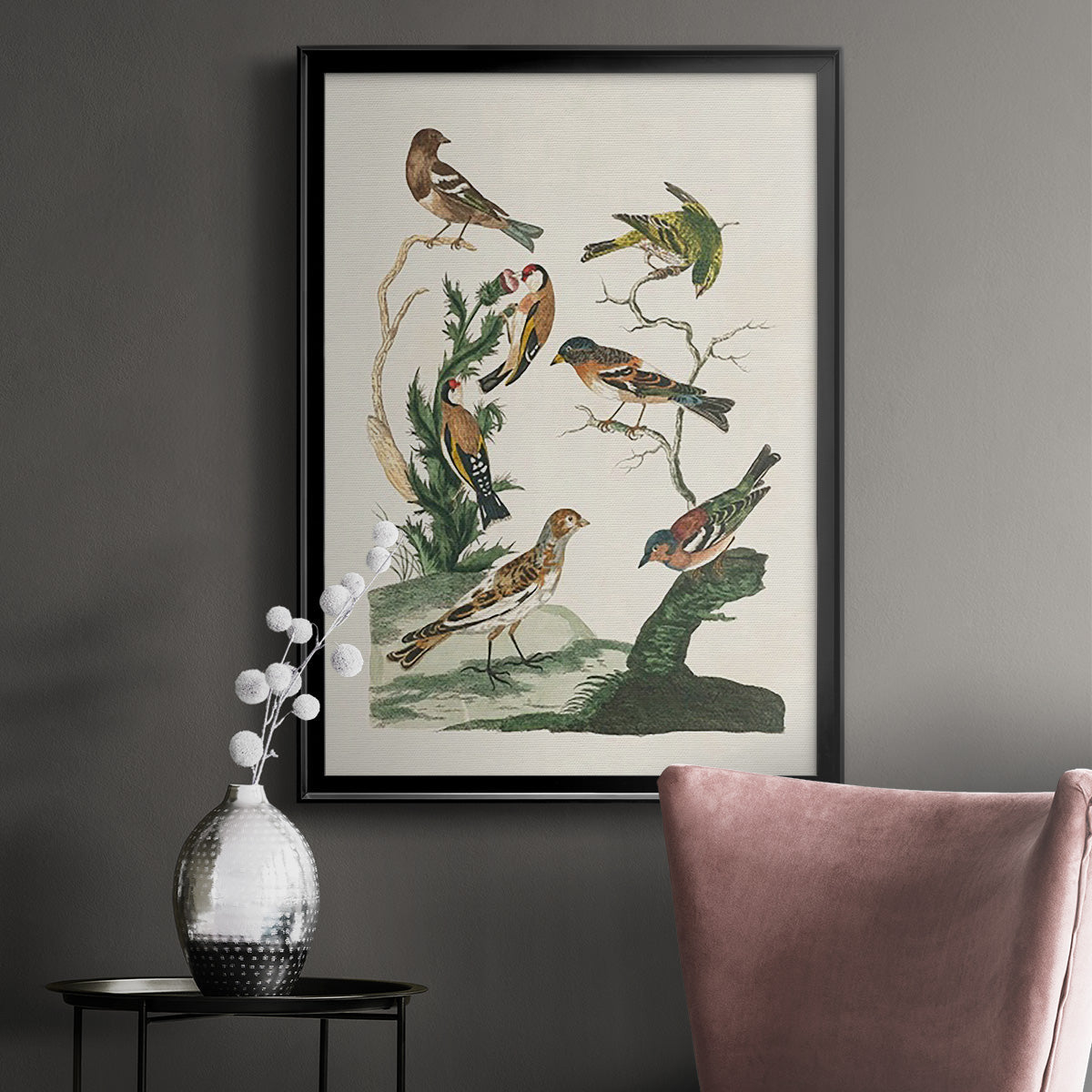 Antique Birds in Nature I - Modern Framed Canvas Print