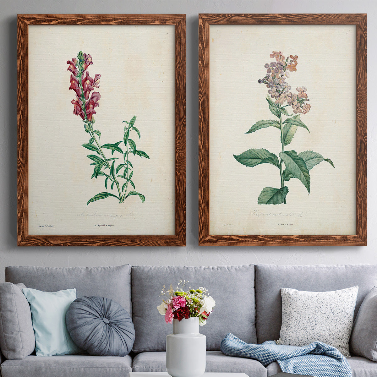 Set of two maple barnwood framed canvas prints depicting paired archival flower studies in muted red pink green and cream tones above a sofa in a contemporary living room.