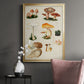 Mushroom Species IV - Modern Framed Canvas Print