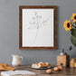 Botanical Gesture V - Premium Canvas Framed in Barnwood - Ready to Hang