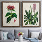 Set of two walnut barnwood framed canvas prints depicting paired antique botanical plate illustrations with detailed blossoms, leaves, roots, and archival cream grounds above a sofa in a contemporary living room.