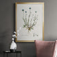 Bellflower Study - Modern Framed Canvas Print