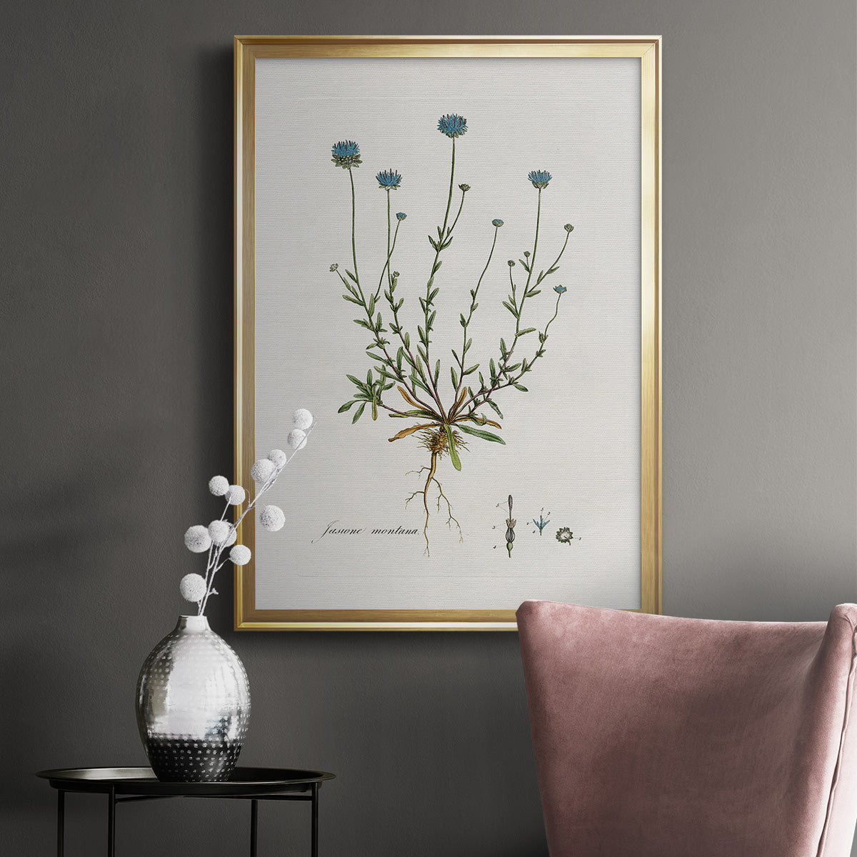 Bellflower Study - Modern Framed Canvas Print