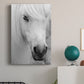 Island Pony I - Canvas Art Print