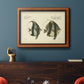 Bloch Antique Fish I Premium Framed Canvas- Ready to Hang