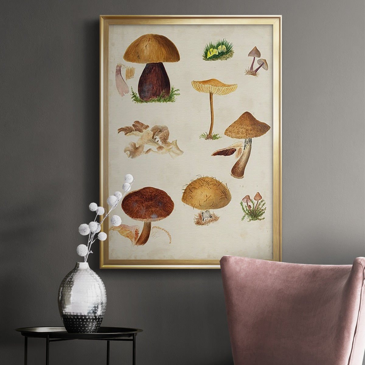 Mushroom Species II - Modern Framed Canvas Print