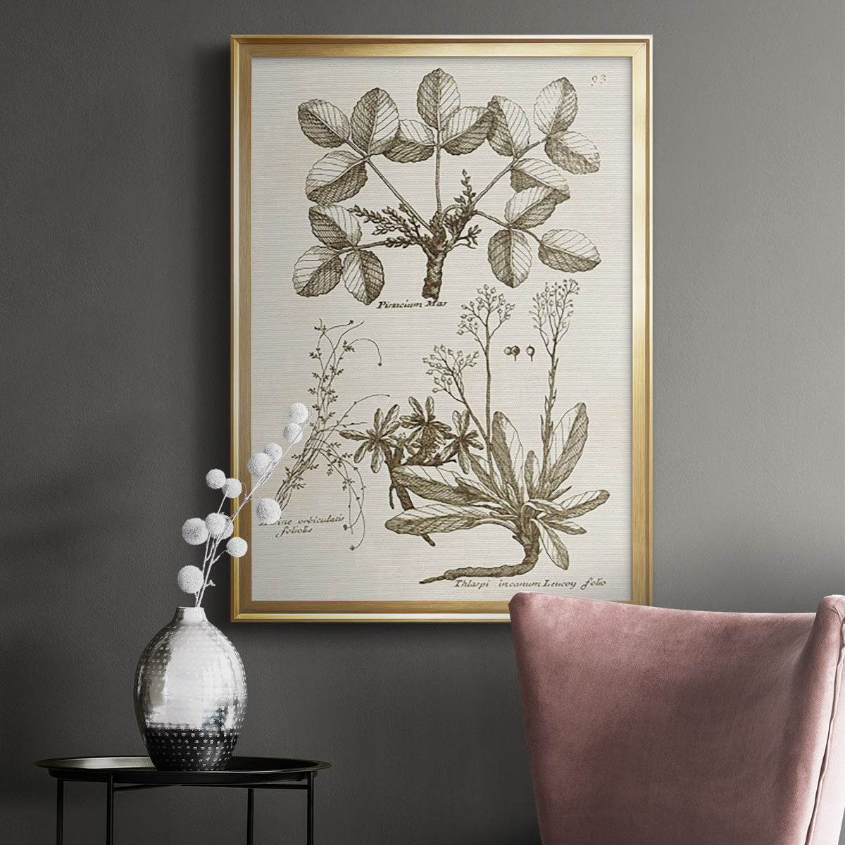 Sepia Botanical Journal VI - Modern Framed Canvas Print