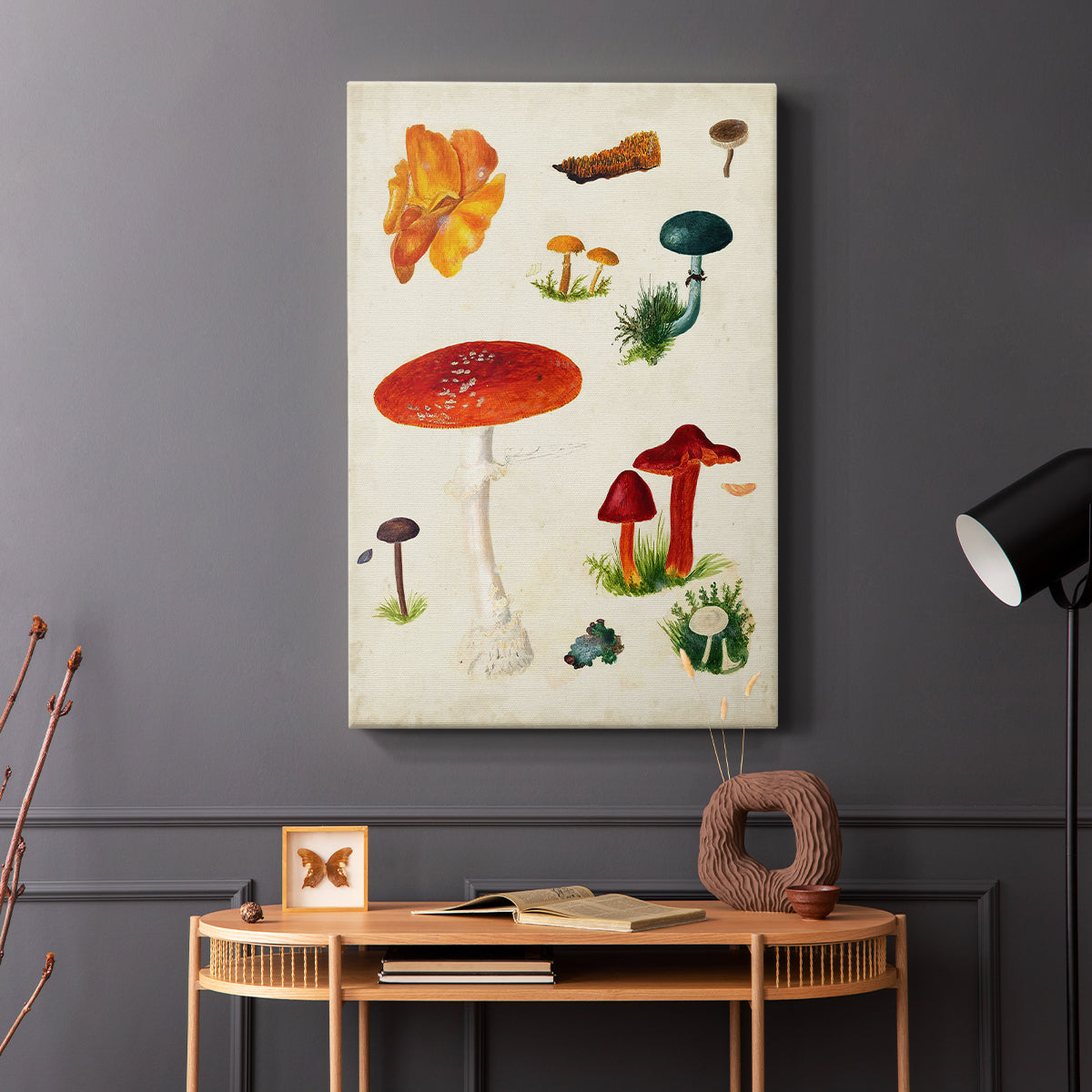 Mushroom Species VIII - Canvas Art Print