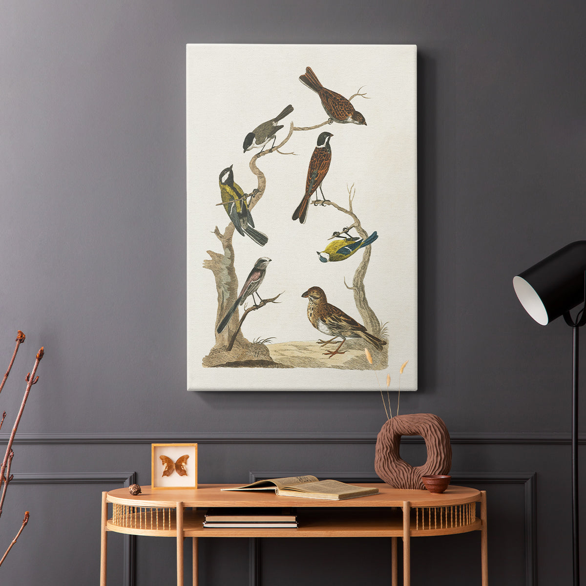 Antique Birds in Nature II - Canvas Art Print