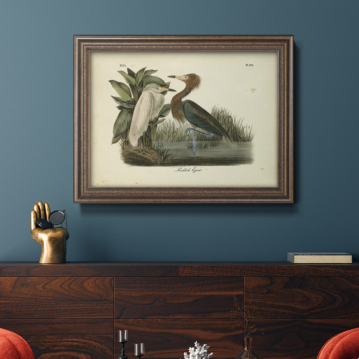 Audubons Reddish Egret Premium Framed Canvas- Ready to Hang