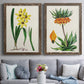Set of two walnut barnwood framed canvas prints depicting paired antique botanical plate illustrations with detailed blossoms, leaves, roots, and archival cream grounds above a sofa in a contemporary living room.
