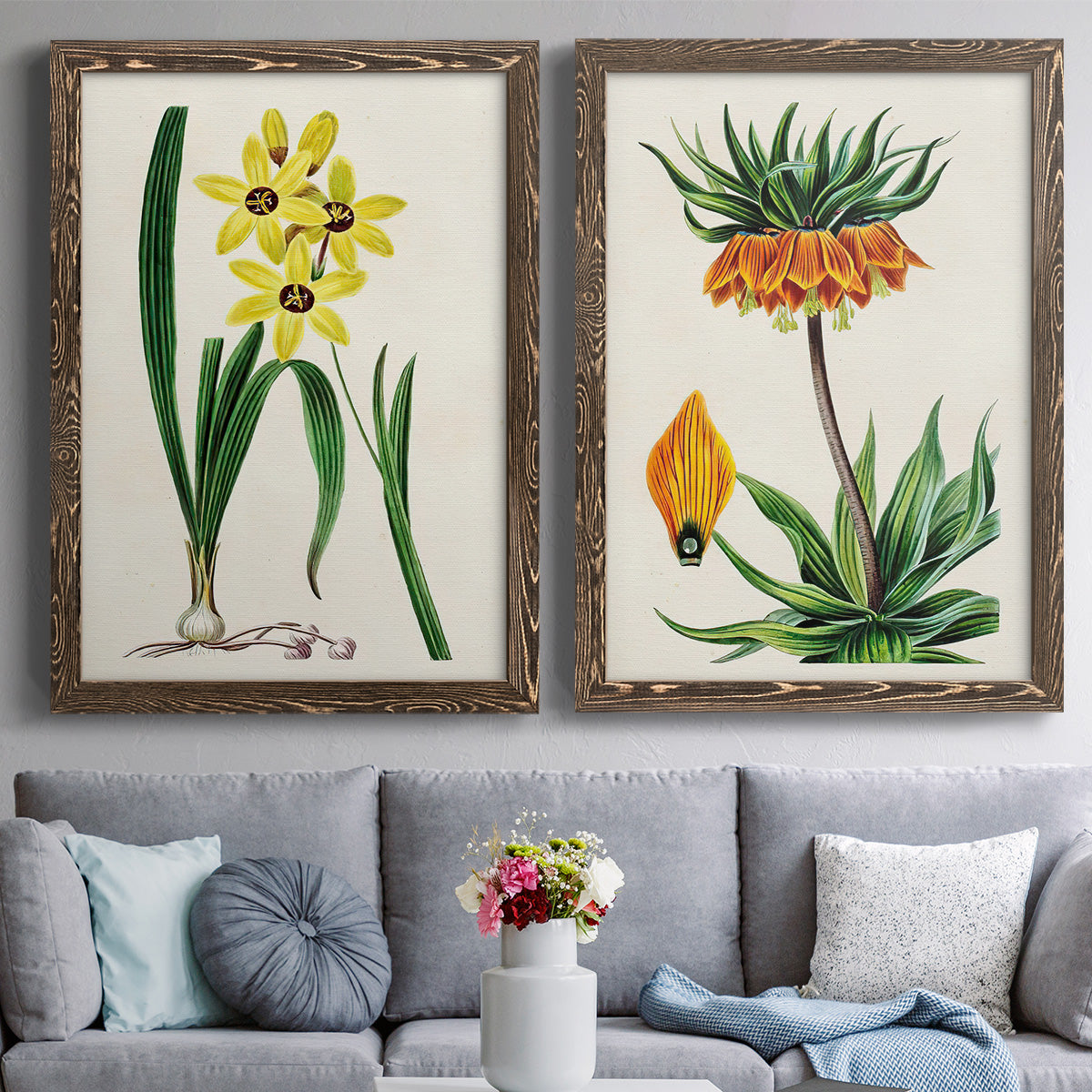 Set of two walnut barnwood framed canvas prints depicting paired antique botanical plate illustrations with detailed blossoms, leaves, roots, and archival cream grounds above a sofa in a contemporary living room.