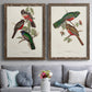 Elegant Trogons V - Premium Framed Canvas 2 Piece Set - Ready to Hang