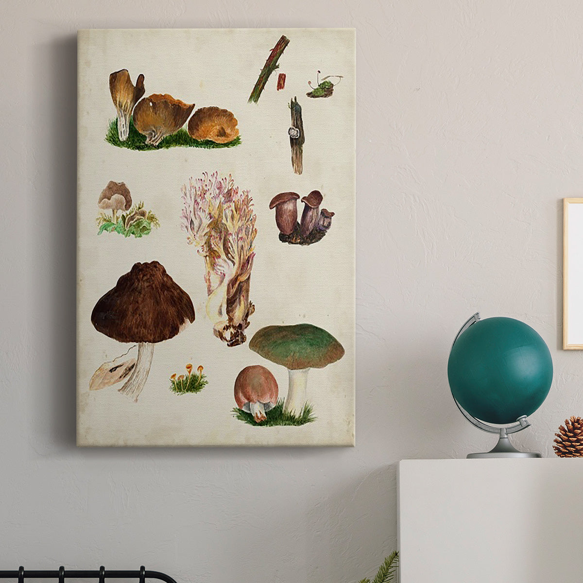 Mushroom Species IX - Canvas Art Print