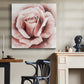 Pink Rose II - Canvas Art Print