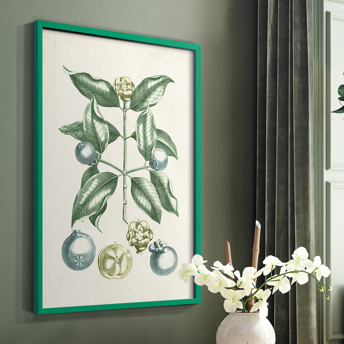 Buchoz Tropicals VII - Restickable Framed Art Print