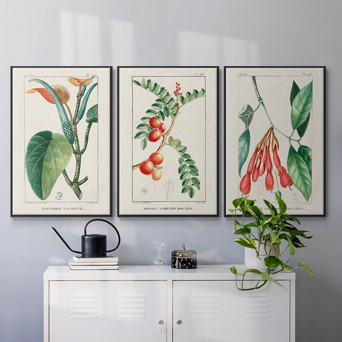 Turpin Tropical Botanicals I - Floater Framed Canvas Set