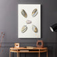 Pastel Knorr Shells III - Canvas Art Print