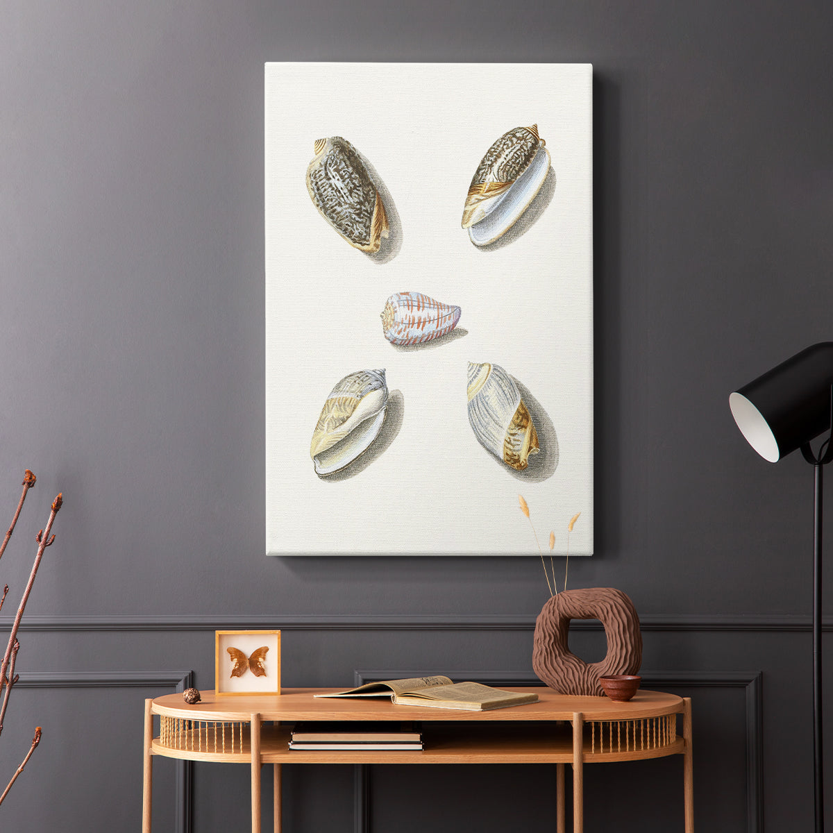 Pastel Knorr Shells III - Canvas Art Print