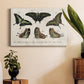 Crackled Butterflies II Premium Gallery Wrapped Canvas - Ready to Hang