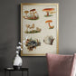 Mushroom Species X - Modern Framed Canvas Print