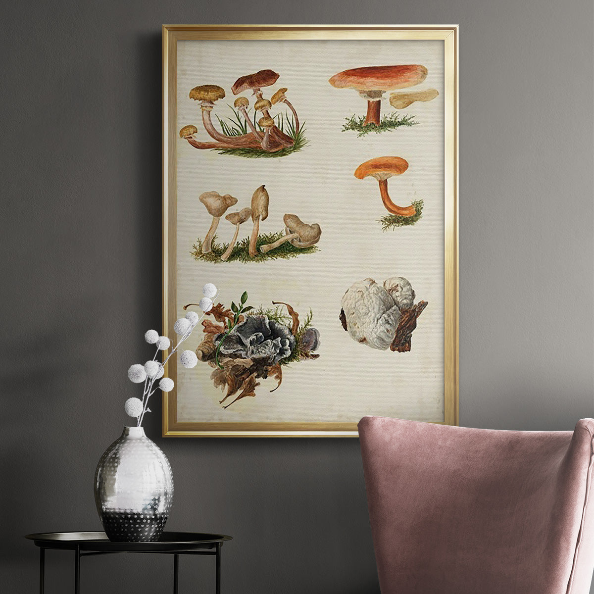 Mushroom Species X - Modern Framed Canvas Print