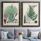 Set of two black barnwood framed canvas prints depicting paired natural-history fern plates with varied green fronds, roots, spores, and archival labels above a sofa in a contemporary living room.