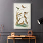 Antique Birds in Nature III - Canvas Art Print