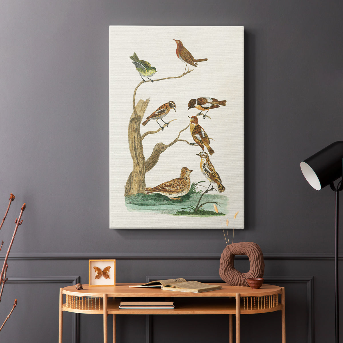 Antique Birds in Nature III - Canvas Art Print