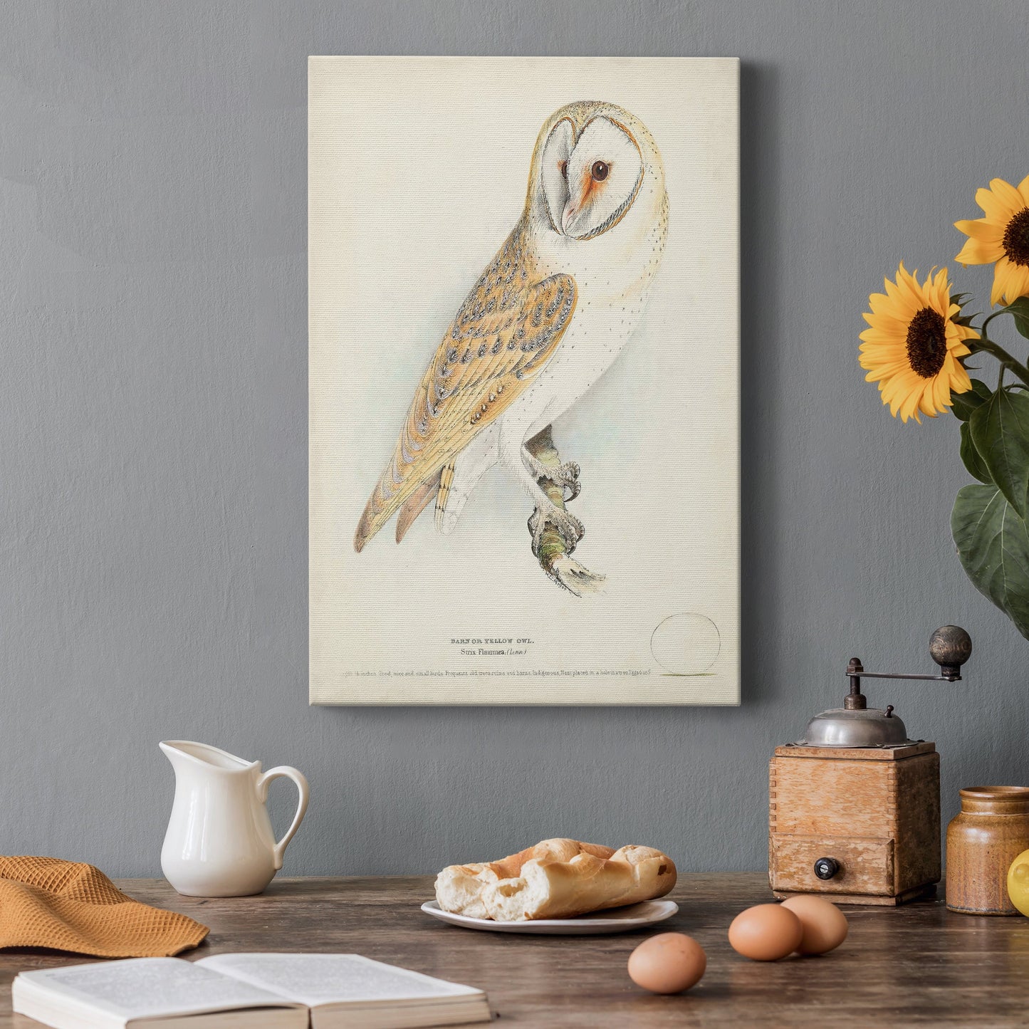 Barn Owl Premium Gallery Wrapped Canvas - Ready to Hang