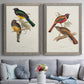 Elegant Trogons III - Premium Framed Canvas 2 Piece Set - Ready to Hang