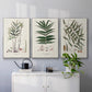 Botanical Society Ferns X - Framed Premium Gallery Wrapped Canvas L Frame 3 Piece Set - Ready to Hang