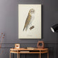 French Owls VI - Canvas Art Print