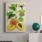 Apricot Study I Premium Gallery Wrapped Canvas - Ready to Hang