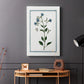 Shabby Chic Botanical II - Canvas Art Print