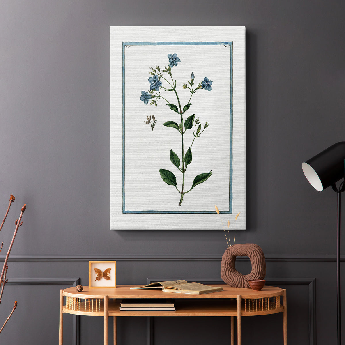 Shabby Chic Botanical II - Canvas Art Print