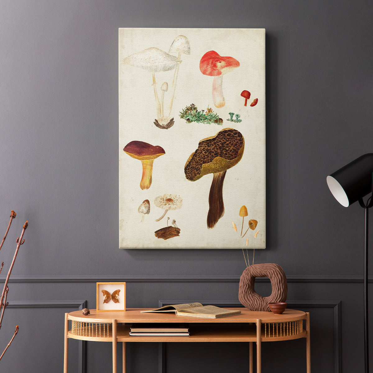 Mushroom Species XI - Canvas Art Print