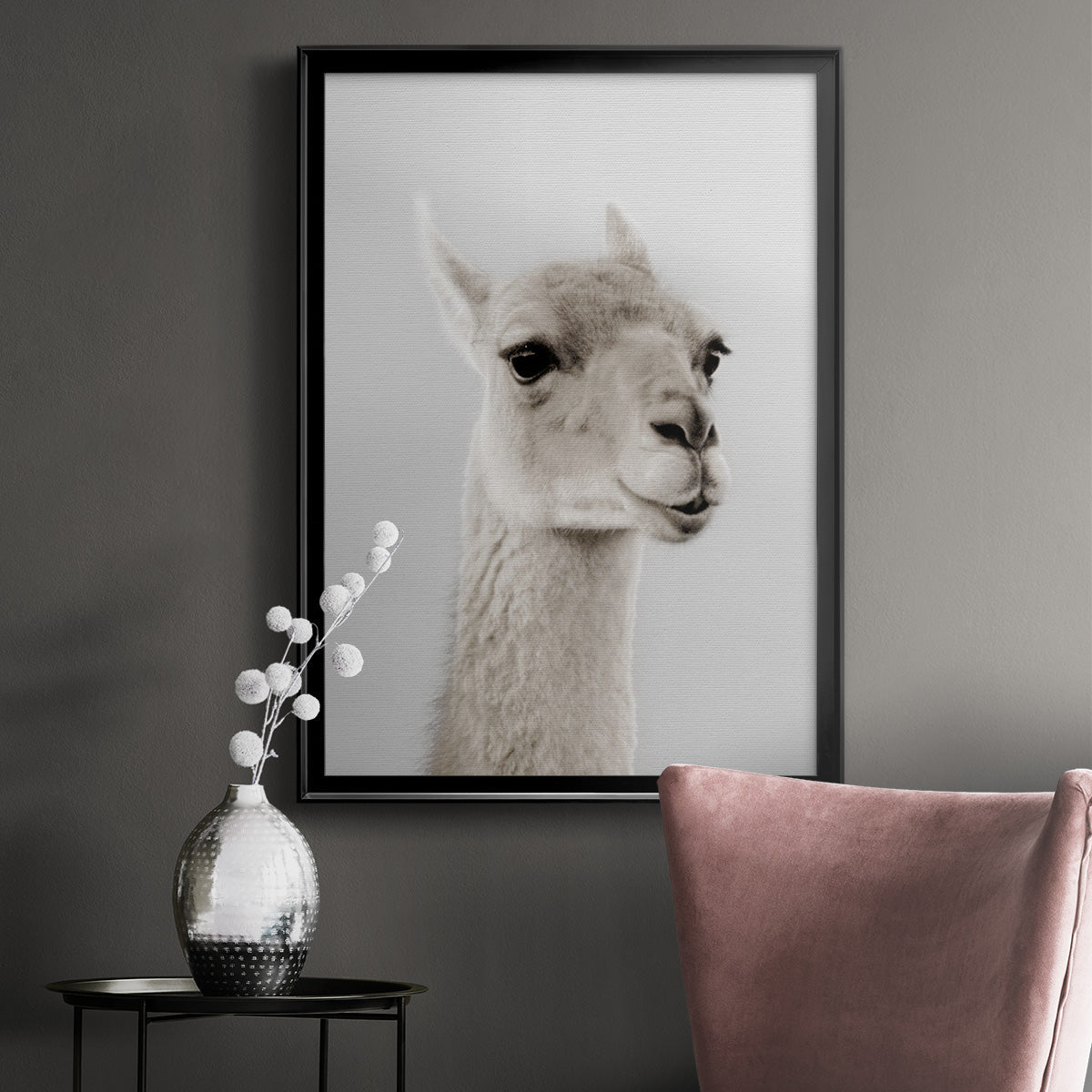 Soft Llama - Modern Framed Canvas Print